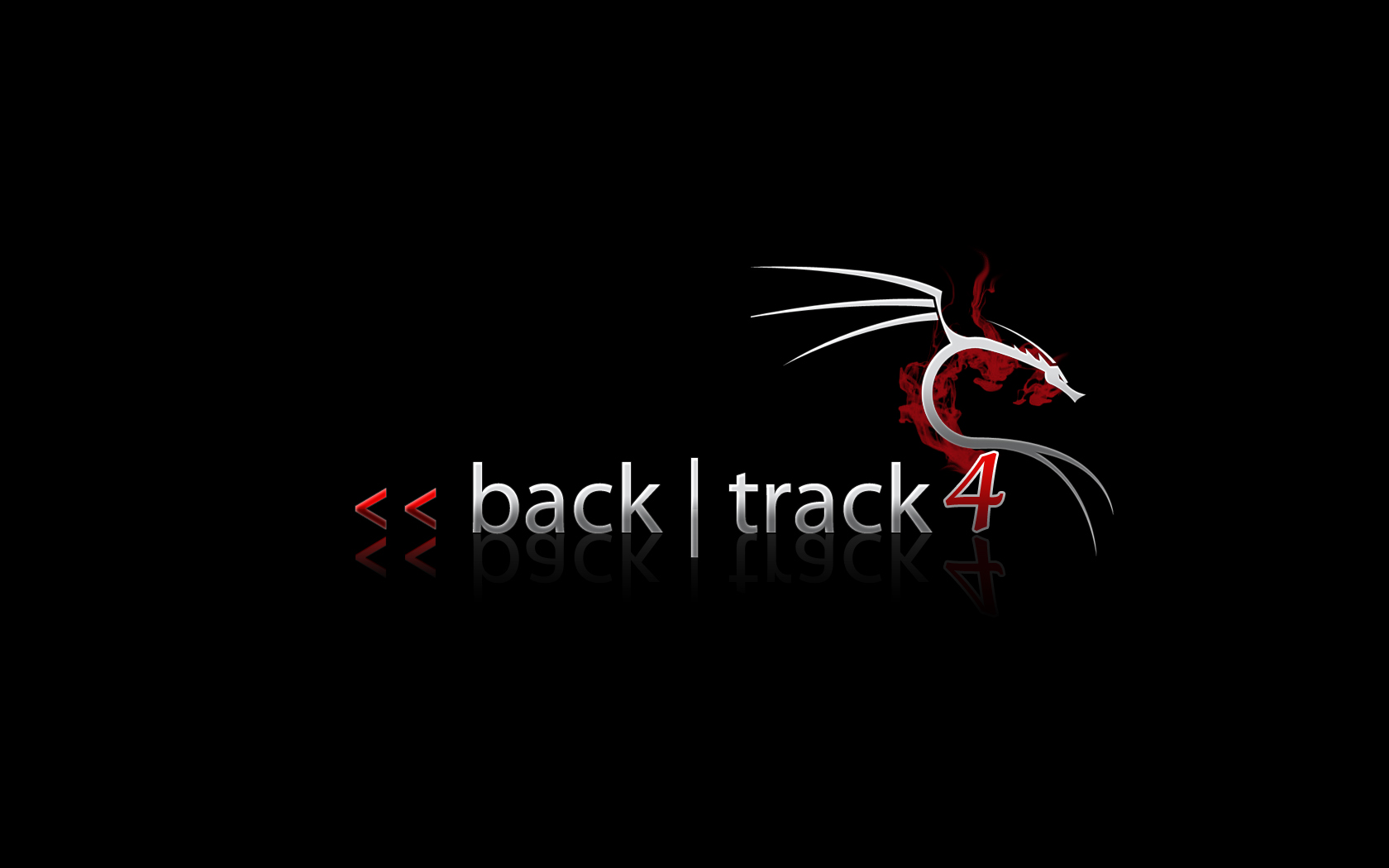 Backtrack 4